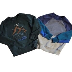 Play By Little Sleepies Crewneck Baby Sweatshirts 12-18 Month